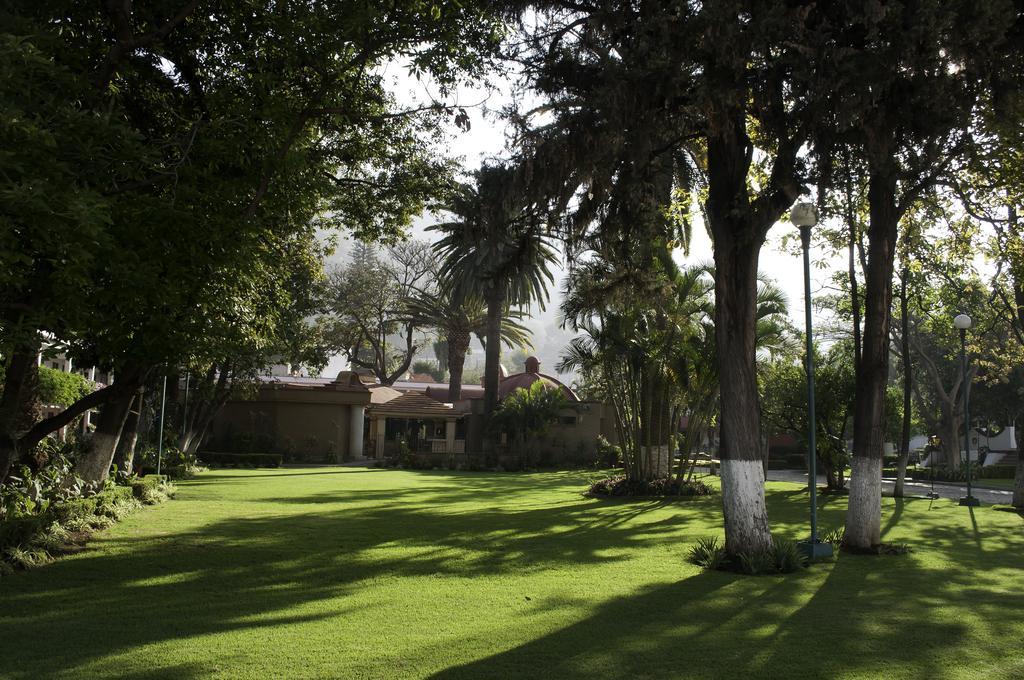 Hotel Los Olivos Spa Oaxaca Exteriér fotografie